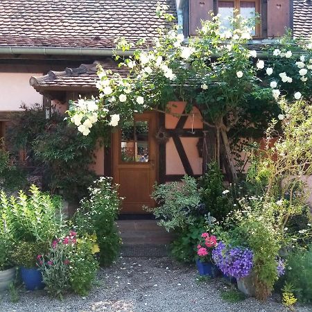Bed and Breakfast Hissele Hilsenheim Экстерьер фото