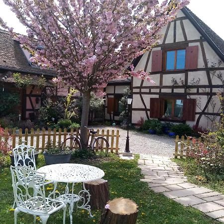 Bed and Breakfast Hissele Hilsenheim Экстерьер фото