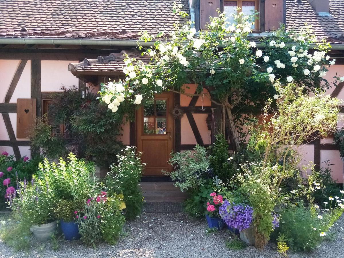 Bed and Breakfast Hissele Hilsenheim Экстерьер фото