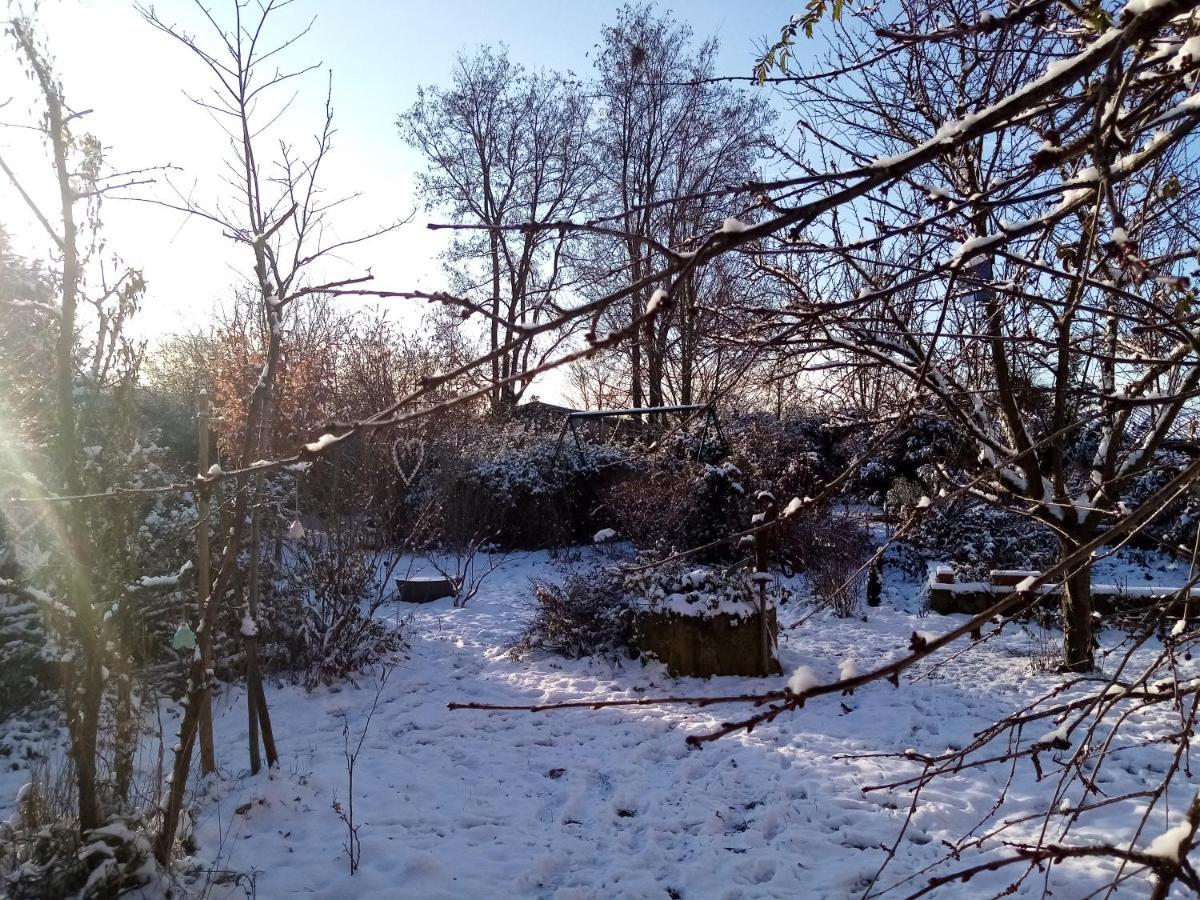 Bed and Breakfast Hissele Hilsenheim Экстерьер фото