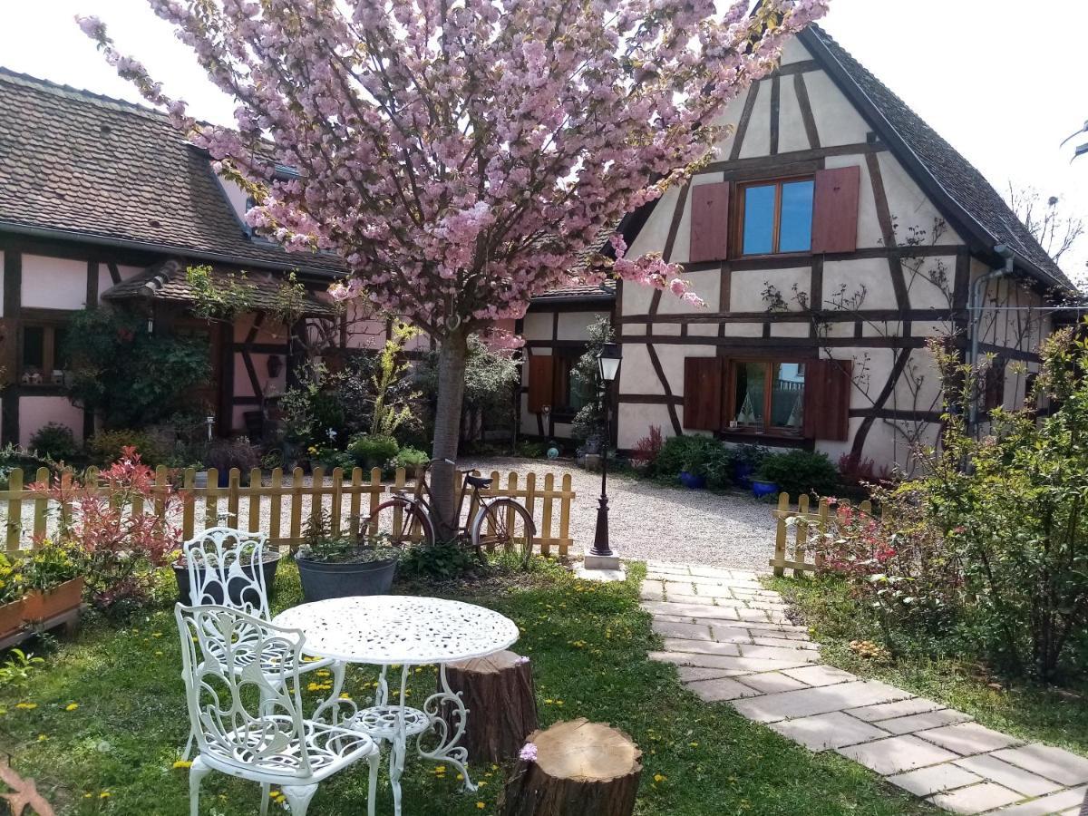 Bed and Breakfast Hissele Hilsenheim Экстерьер фото